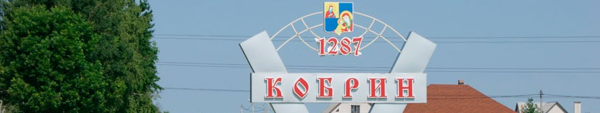 Межгород такси Москва Кобрин
