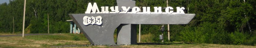Межгород такси Москва Мичуринск