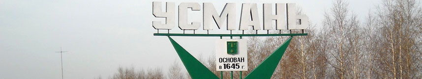 Межгород такси Москва Усмань