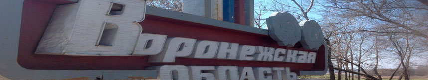 Межгород такси Москва - Воронежская область
